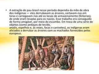 • A extração de pau-brasil nesse período dependia da mão de obra
dos indígenas — eles derrubavam as árvores, cortavam-nas em
toras e carregavam-nas até os locais de armazenamento (feitorias),
de onde eram levadas para os navios. Esse trabalho era conseguido
de forma amigável, por meio do escambo. Em troca de uma série de
objetos (como pedaços de tecido,
anzóis, espelhos e, às vezes, facas e canivetes), os indígenas eram
aliciados a derrubar as árvores com os machados fornecidos pelos
europeus.
 