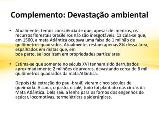 Complemento: Devastação ambiental
• Atualmente, temos consciência de que, apesar de imensos, os
recursos florestais brasileiros não são inesgotáveis. Calcula-se que,
em 1500, a mata Atlântica ocupava uma faixa de 1 milhão de
quilômetros quadrados. Atualmente, restam apenas 8% dessa área,
espalhados em matas que, em
boa parte, se localizam em propriedades particulares
• Estima-se que somente no século XVI tenham sido derrubados
aproximadamente 2 milhões de árvores, devastando cerca de 6 mil
quilômetros quadrados da mata Atlântica.
Depois (da extração do pau -brasil] vieram cinco séculos de
queimada. A cana, o pasto, o café, tudo foi plantado nas cinzas da
Mata Atlântica. Dela saiu a lenha para os fornos dos engenhos de
açúcar, locomotivas, termelétricas e siderúrgicas.
 
