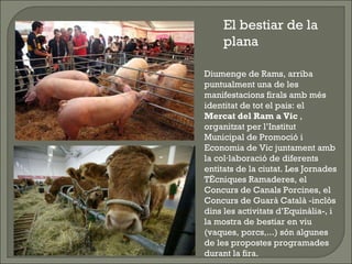 El bestiar de la plana Diumenge de Rams, arriba puntualment una de les manifestacions firals amb més identitat de tot el pais: el  Mercat del Ram a Vic  , organitzat per l’Institut Municipal de Promoció i Economia de Vic juntament amb la col·laboració de diferents entitats de la ciutat. Les Jornades Tècniques Ramaderes, el Concurs de Canals Porcines, el Concurs de Guarà Català -inclòs dins les activitats d’Equinàlia-, i la mostra de bestiar en viu (vaques, porcs,...) són algunes de les propostes programades durant la fira. 