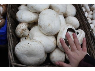 Mercat arras 05 02 2011