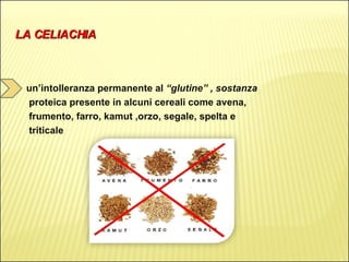 LA CELIACHIA un’intolleranza permanente al  “glutine” , sostanza  proteica presente in alcuni cereali come avena, frumento, farro, kamut ,orzo, segale, spelta e  triticale 
