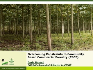 Overcoming Constraints to Community
Based Commercial Forestry (CBCF)
Dede Rohadi
FORDA’s Seconded Scientist to CIFOR
 