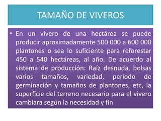 TAMAÑO DE VIVEROSEn un vivero de una hectárea se puede producir aproximadamente 500 000 a 600 000 plantones o sea lo suficiente para reforestar 450 a 540 hectáreas, al año. De acuerdo al sistema de producción: Raíz desnuda, bolsas varios tamaños, variedad, periodo de germinación y tamaños de plantones, etc, la superficie del terreno necesario para el vivero cambiara según la necesidad y fin