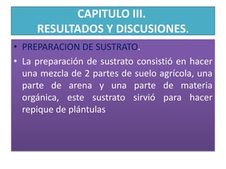 CAPITULO III. RESULTADOS Y DISCUSIONES. PREPARACION DE SUSTRATO.La preparación de sustrato consistió en hacer una mezcla de 2 partes de suelo agrícola, una parte de arena y una parte de materia orgánica, este sustrato sirvió para hacer repique de plántulas
