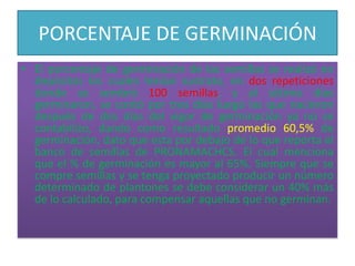 PORCENTAJE DE GERMINACIÓNEl porcentaje de germinación de las semillas se realizó en depósitos los cuales tenían sustrato, en dos repeticiones  donde se sembró 100 semillas, y al sétimo días germinaron, se contó por tres días luego las que nacieron después de dos días del vigor de germinación ya no se contabilizo, dando como resultado promedio 60,5% de germinación, dato que esta por debajo de lo que reporta el banco de semillas de PRONAMACHCS. El cual menciona que el % de germinación es mayor al 65%. Siempre que se compre semillas y se tenga proyectado producir un número determinado de plantones se debe considerar un 40% más de lo calculado, para compensar aquellas que no germinan.
