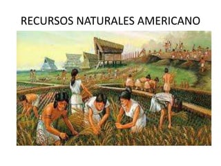 RECURSOS NATURALES AMERICANO
 