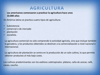En América latina se practica cuatro tipos de agricultura:
• Subsistencia
• comercial o de mercado
• plantación
• socialista.
La agricultura comercial no solo comprende la actividad agrícola, sino que incluye también
la ganadera, y los productos obtenidos se destinan a la comercialización a nivel nacional e
internacional.
La agricultura de plantación se centra en la producción de un solo cultivo, lo que permite
obtener productos al más bajo costo.
Los cultivos predominantes son los exóticos subtropicales: plátano, caña de azúcar, café,
cacao, caucho.
Los americanos comenzaron a practicar la agricultura hace unos
10.000 años
 