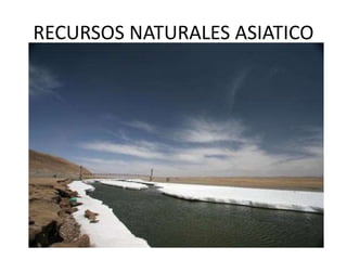 RECURSOS NATURALES ASIATICO
 