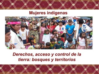 Mujeres indígenas
Derechos, acceso y control de la
tierra: bosques y territorios
 