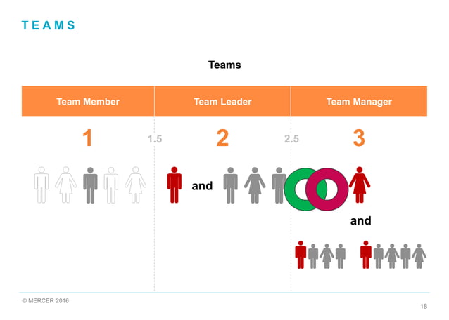 Mercer-EVOLUTION-OF-IPE-OVER-40-YEARS-OF-USE-AND-DEVELOPMENT.pdf ...