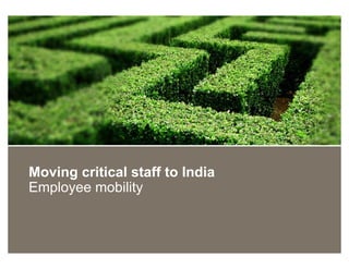 Moving critical staff to India
Employee mobility
 
