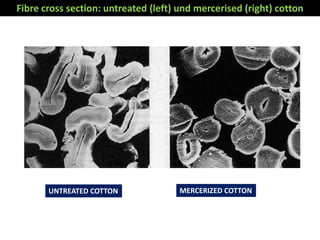 Mercerization | PPTX