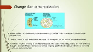 Mercerization | PPTX