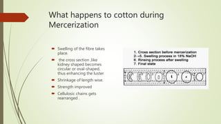 Mercerization | PPTX