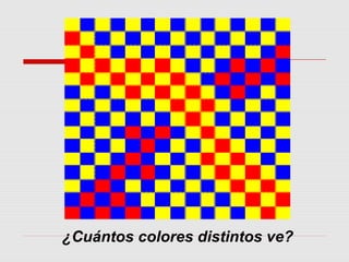 ¿Cuántos colores distintos ve?
 