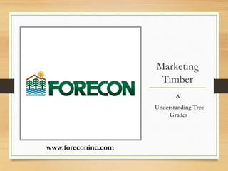 Marketing
Timber
&
Understanding Tree
Grades
www.foreconinc.com
 