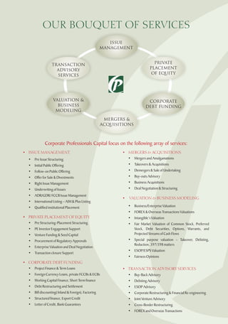 Merchant Banking Brochure | PDF