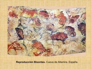 Reproducción Bisontes.  Cueva de Altamira. España. 