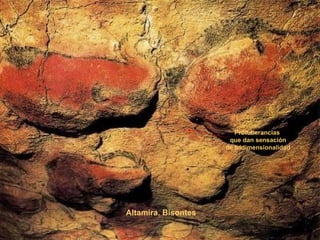 Altamira. Bisontes Protuberancias que dan sensación de tridimensionalidad 