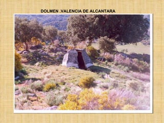 DOLMEN .VALENCIA DE ALCANTARA 