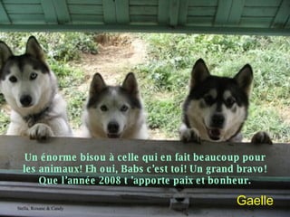 Gaelle Stella, Roxane & Candy Un énorme bisou à celle qui en fait beaucoup pour les animaux! Eh oui, Babs c’est toi! Un grand bravo! Que l’année 2008 t ’apporte paix et bonheur. 