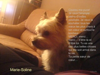 Coucou ma puce! Je veux t’envoyer pleins d’ondes positives. Je veux te souhaiter tous les vœux les plus chers à ton cœur et surtout le bonheur… MERCI, merci… merci… d’être là et d’être toi. Tu es une des plus belles choses qui me soit arrivé dans la vie. Ta petite sœur de cœur… Marie-Soline Gribouille 