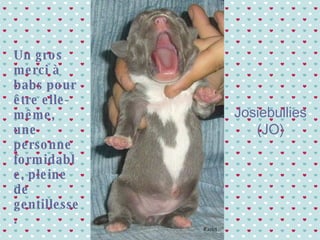 Un gros merci à babs pour être elle-même, une personne formidable, pleine de gentillesse. Josiebullies (JO) Raziel 