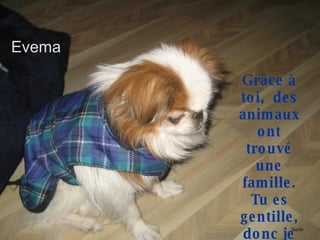 Grâce à toi,  des animaux ont trouvé une famille. Tu es gentille, donc je t’aime. Evema Suchi 