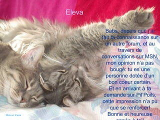 Babs, depuis que j’ai fait ta connaissance sur un autre forum, et au travers de conversations sur MSN, mon opinion n’a pas bougé: tu es une personne dotée d’un bon coeur certain. Et en arrivant à ta demande sur Pil’Poils, cette impression n’a pu que se renforcer! Bonne et heureuse année à toi! Eleva Mitia et Vania 