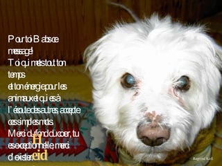 Heidi Regretté Kofi Pour toi Babs ce message! Toi qui mets tout ton temps  et ton énergie pour les animaux et qui es à l’écoute des autres, accepte ces simples mots. Merci du fond du cœur, tu es exceptionnelle, merci d’exister. 
