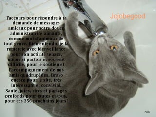 J’accours pour répondre à ta demande de messages amicaux pour notre douce administratrice aimante, comme moi d’animaux de tout genre. Bien entendu, je la remercie avec bienveillance pour son activité tenace, même si parfois et souvent difficile, pour le soutien et l’accompagnement de nos amis quadrupèdes. Bravo encore pour le site, très intéressant et convivial. Santé, joies, rires et partages profonds pour toutes et tous, pour ces 356 prochains jours! Jojobegood Perle 