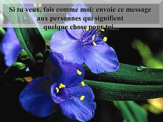 Si tu veux, fais comme moi: envoie ce message  aux personnes qui signifient  quelque chose pour toi... 