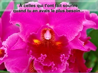 À celles qui t'ont fait sourire  quand tu en avais le plus besoin...  