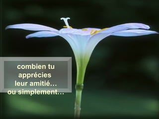 combien tu apprécies  leur amitié… ou simplement… 