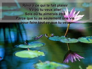 Rêve à ce qui te fait plaisir  Va où tu veux aller  Sois où tu aimerais être  Parce que tu as seulement une vie  pour faire tout ce que tu veux 