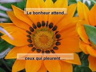 Le bonheur attend... ceux qui pleurent … 