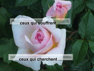 ceux qui souffrent… ceux qui cherchent … 