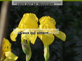 ceux qui se dévouent… Ceux qui aiment… 