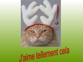 J'aime tellement cela 