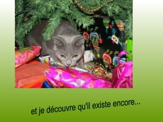 et je découvre qu'il existe encore... 