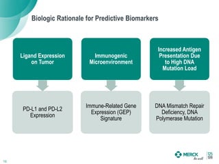 Biologic Rationale for Predictive Biomarkers
15
Ligand Expression
on Tumor
PD-L1 and PD-L2
Expression
Immunogenic
Microenvironment
Immune-Related Gene
Expression (GEP)
Signature
Increased Antigen
Presentation Due
to High DNA
Mutation Load
DNA Mismatch Repair
Deficiency, DNA
Polymerase Mutation
 