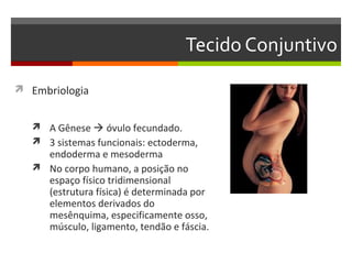 Tecido Conjuntivo

 Embriologia


    A Gênese  óvulo fecundado.
    3 sistemas funcionais: ectoderma,
     endoderma e mesoderma
    No corpo humano, a posição no
     espaço físico tridimensional
     (estrutura física) é determinada por
     elementos derivados do
     mesênquima, especificamente osso,
     músculo, ligamento, tendão e fáscia.
 