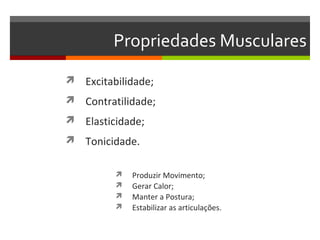 Propriedades Musculares
 Excitabilidade;
 Contratilidade;
 Elasticidade;
 Tonicidade.


            Produzir Movimento;
            Gerar Calor;
            Manter a Postura;
            Estabilizar as articulações.
 