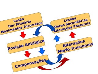 o
         Lesã ária                 Le sões árias
                                          d
           Prim correto
                       s             ecun turais
      Dor                   Do res S s Pos
            t os In              raçõ
                                      e
      im e n                Alte
Mov


                ntá lgica             ções is
        ão A                    Altera iona
       ç                               c
  Posi                             -fun
                              Morfo

                   ções
              ensa
         Comp
 