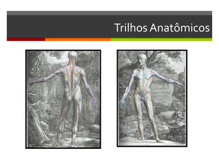 Trilhos Anatômicos
 