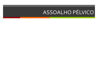 ASSOALHO PÉLVICO
 