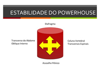 ESTABILIDADE DO POWERHOUSE
                         Diafragma




Transverso do Abdome                      Coluna Vertebral
Oblíquo Interno                           Transversos Espinais




                       Assoalho Pélvico
 