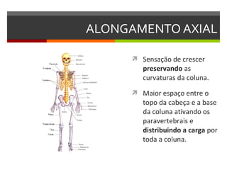 ALONGAMENTO AXIAL

      Sensação de crescer
        preservando as
        curvaturas da coluna.
      Maior espaço entre o
        topo da cabeça e a base
        da coluna ativando os
        paravertebrais e
        distribuindo a carga por
        toda a coluna.
 