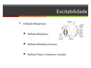 Excitabilidade

 Inibição Recíproca:


    Reflexo Miotático;



    Reflexo Miotático Inverso;



    Reflexo Flexor e Extensor cruzado.
 