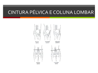 CINTURA PÉLVICA E COLUNA LOMBAR
 